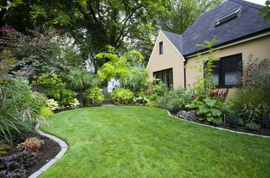 Six lawn care mistakes that can ruin your yard in New Jersey (2021)