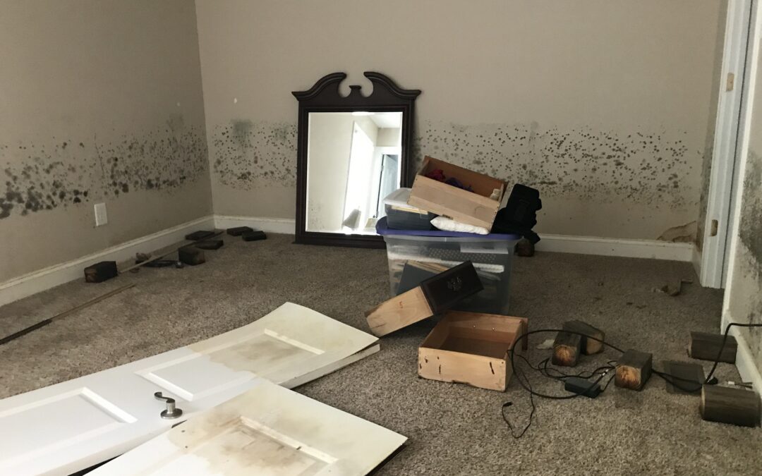 Selling a House with Mold